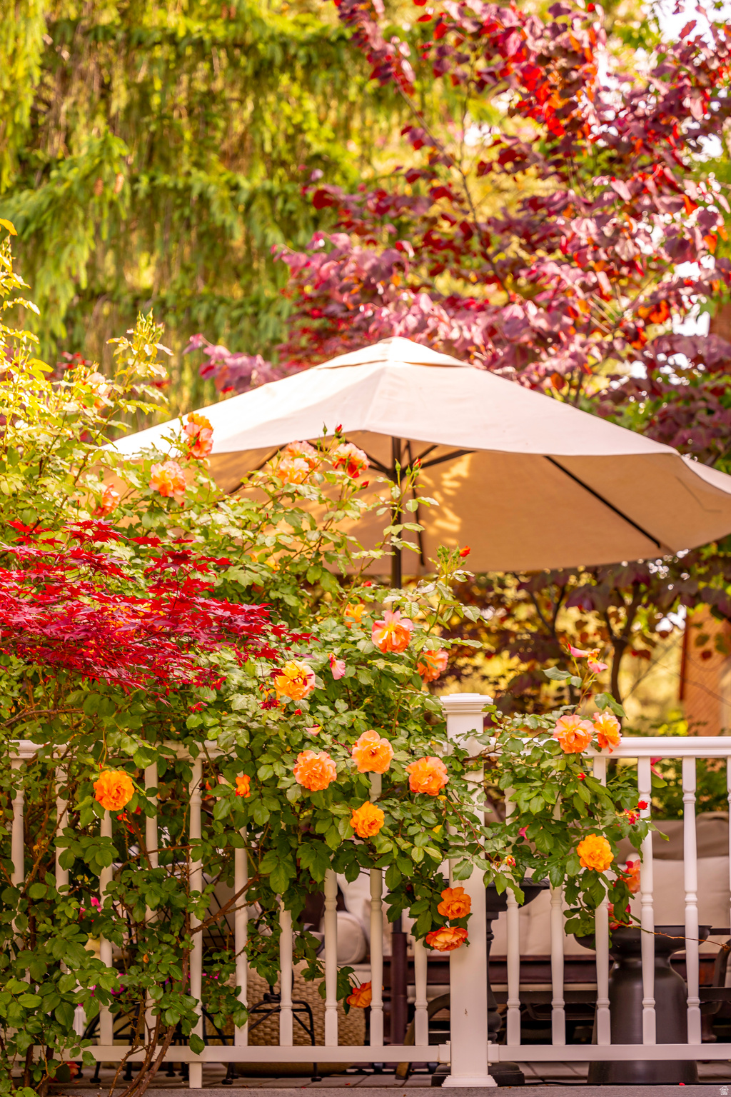 WILLOW CREEK HEIGHTS - Residential