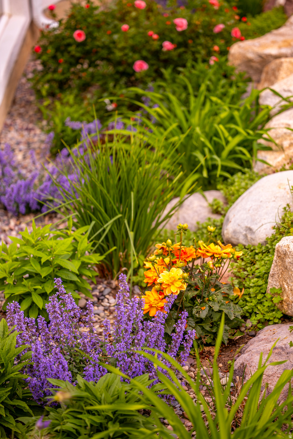 WILLOW CREEK HEIGHTS - Residential