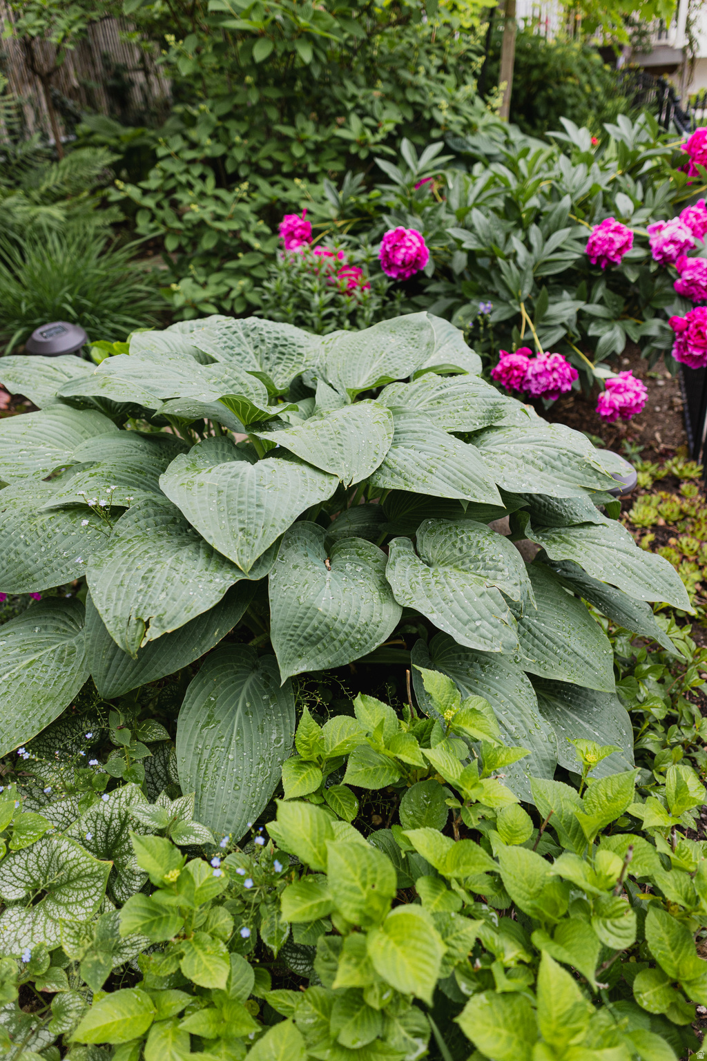 WILLOW CREEK HEIGHTS - Residential