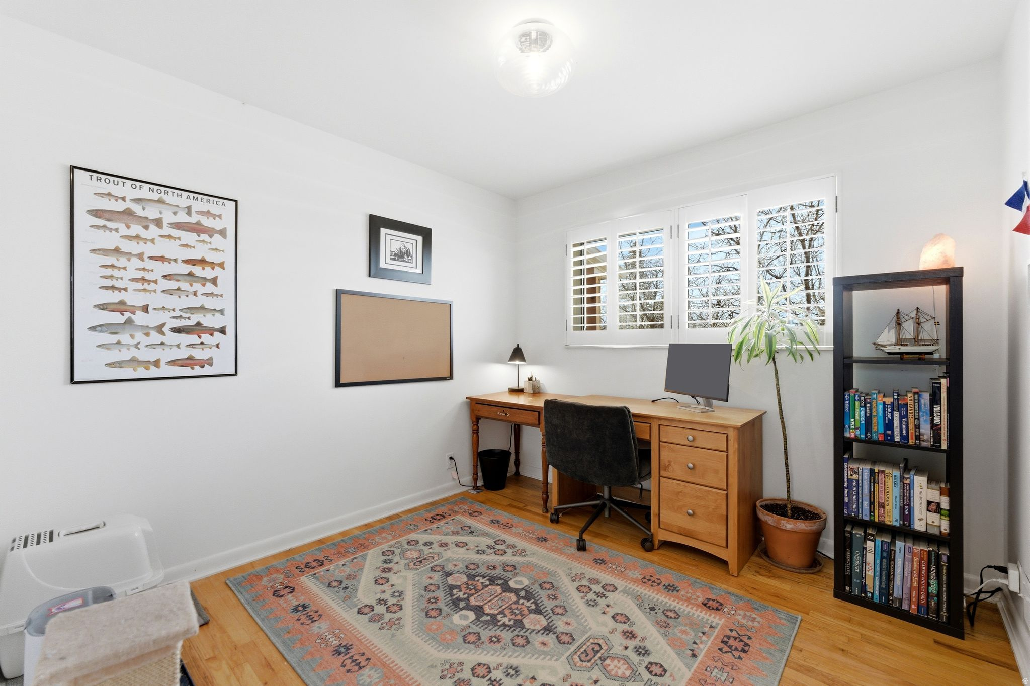 MORNINGSIDE - Residential