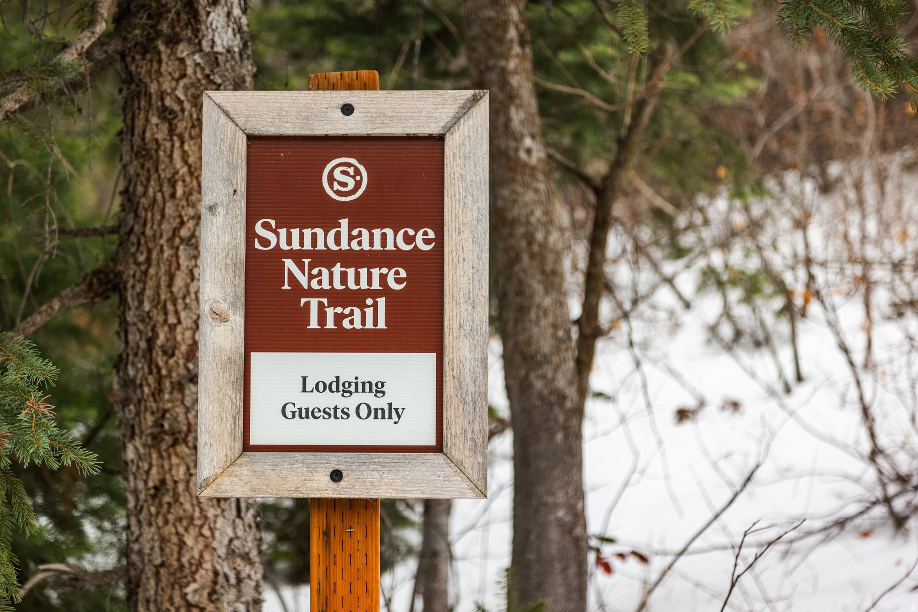 SUNDANCE COTTAGES CONDO - Residential