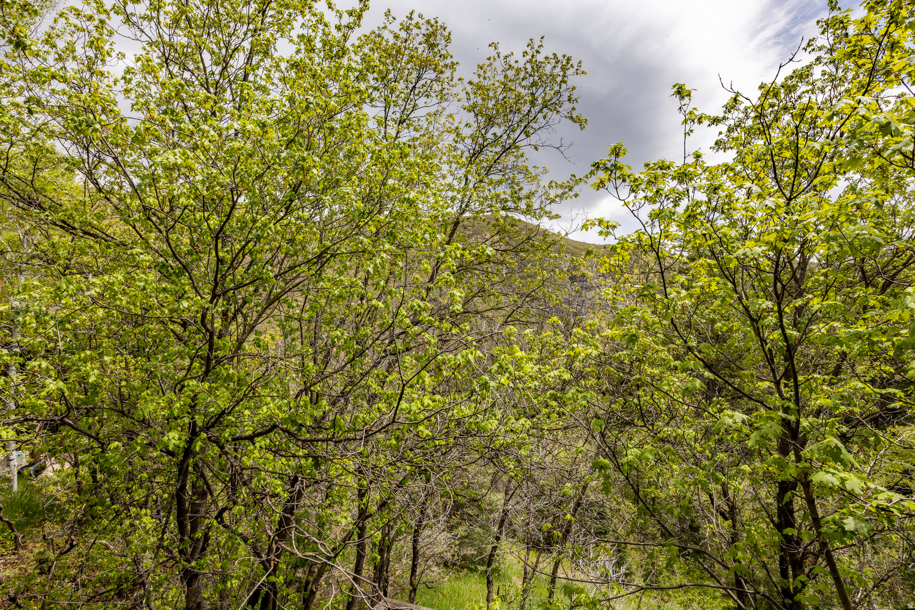 SUNDANCE COTTAGES CONDO - Residential