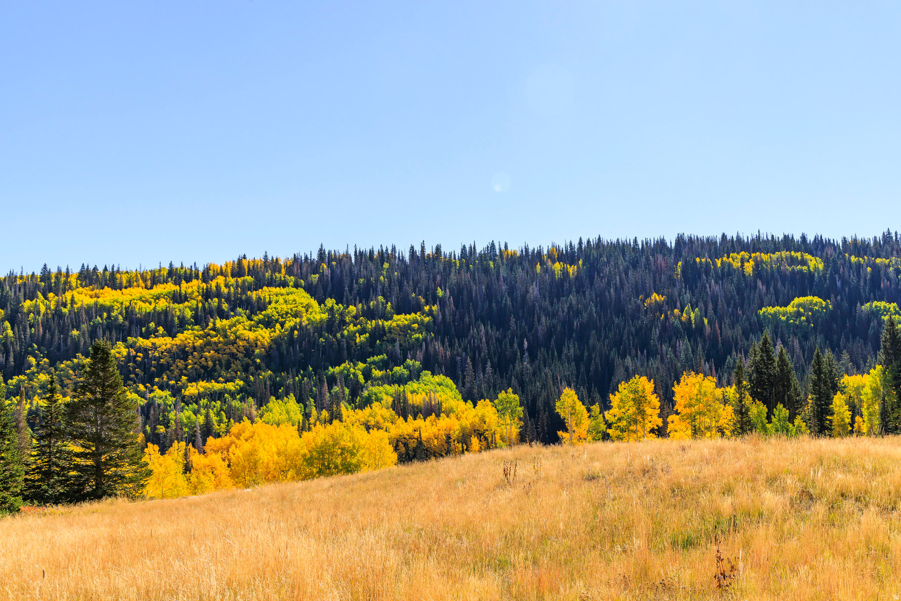 COLONY AT WHITE PINE CANYON - Land