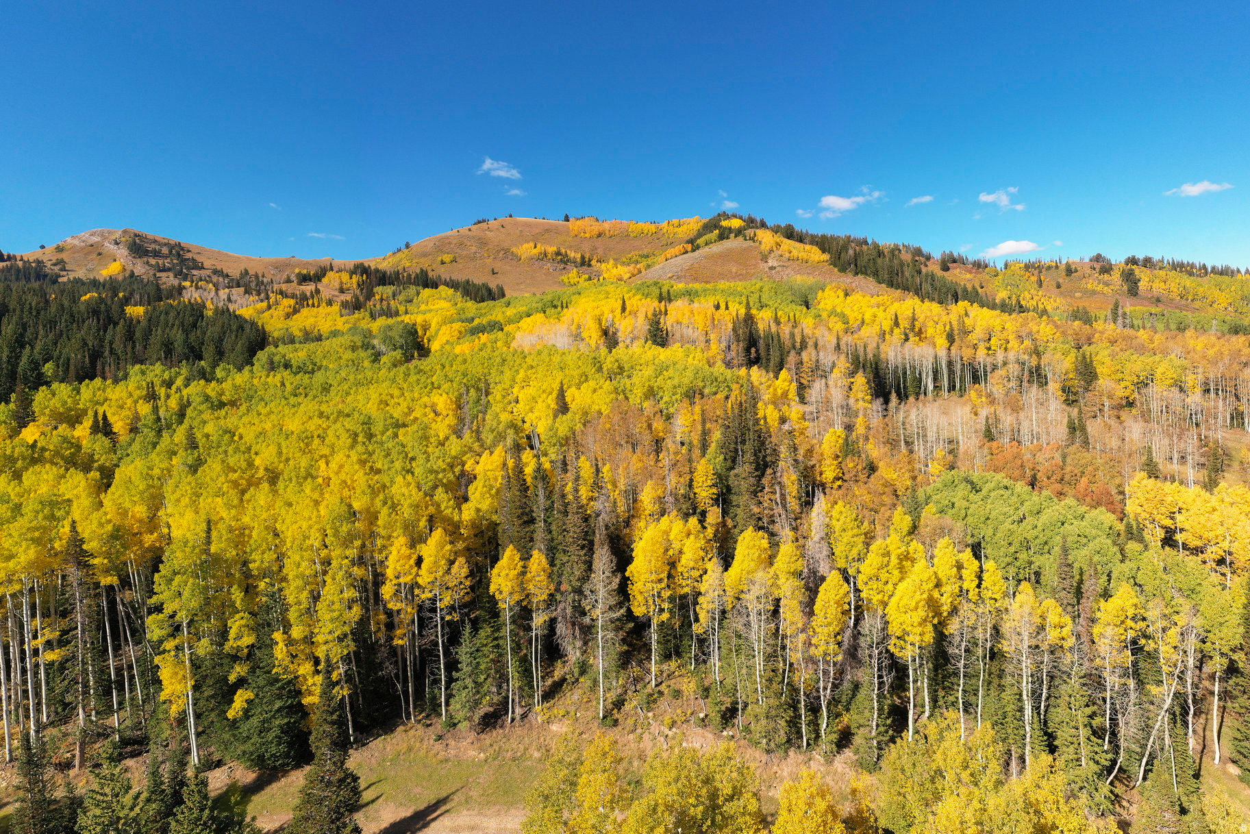 COLONY AT WHITE PINE CANYON - Land