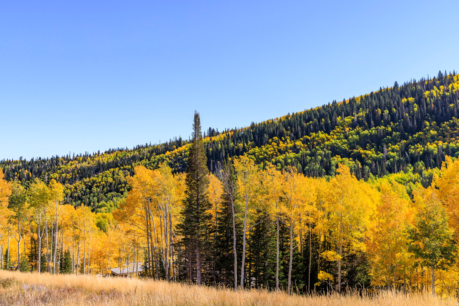 COLONY AT WHITE PINE CANYON - Land