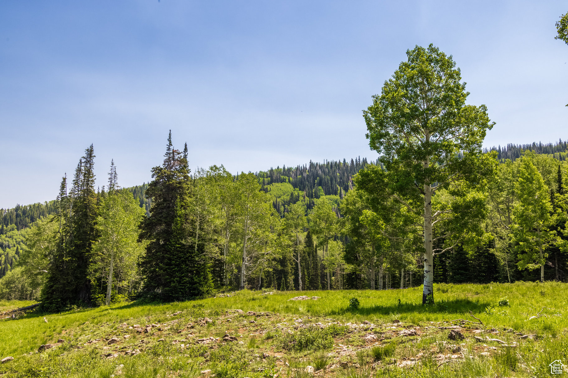 COLONY AT WHITE PINE CANYON - Land
