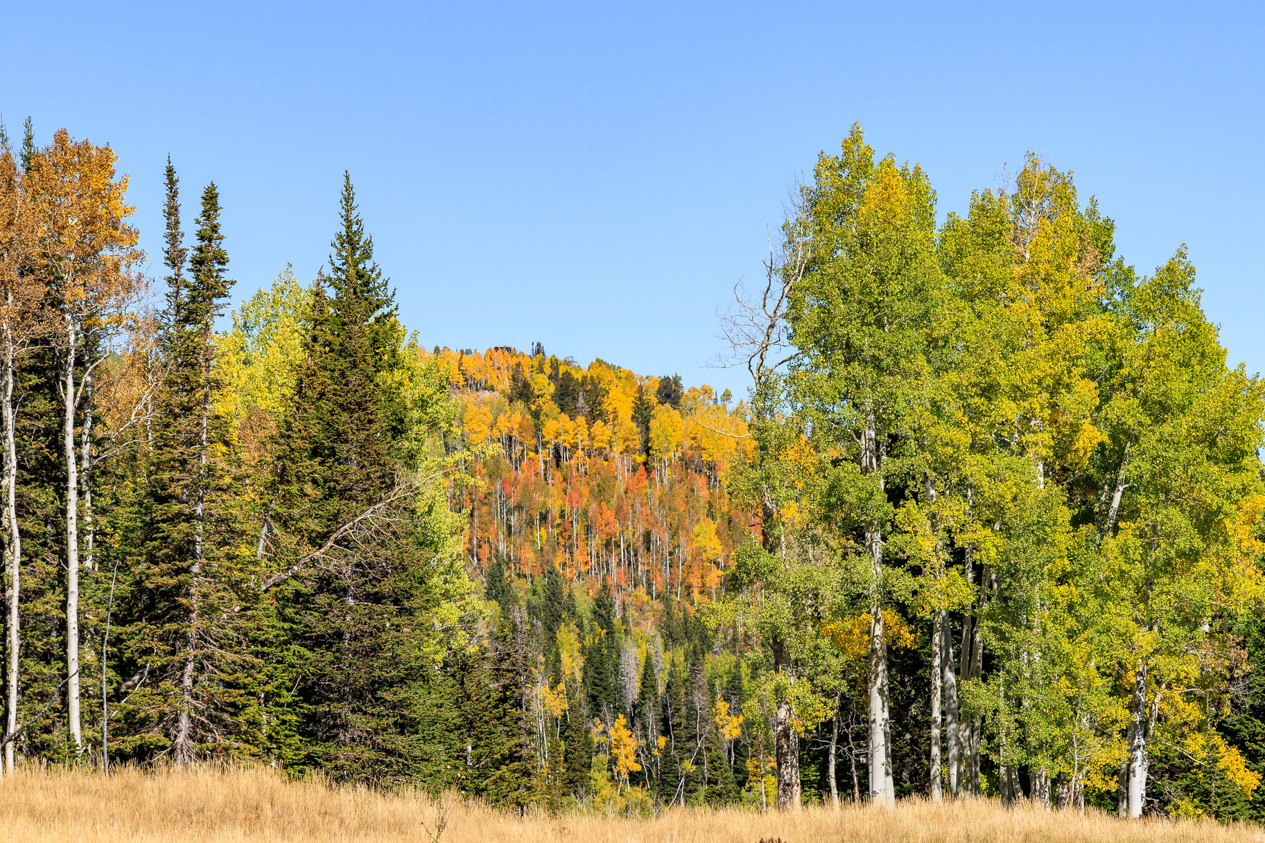 COLONY AT WHITE PINE CANYON - Land