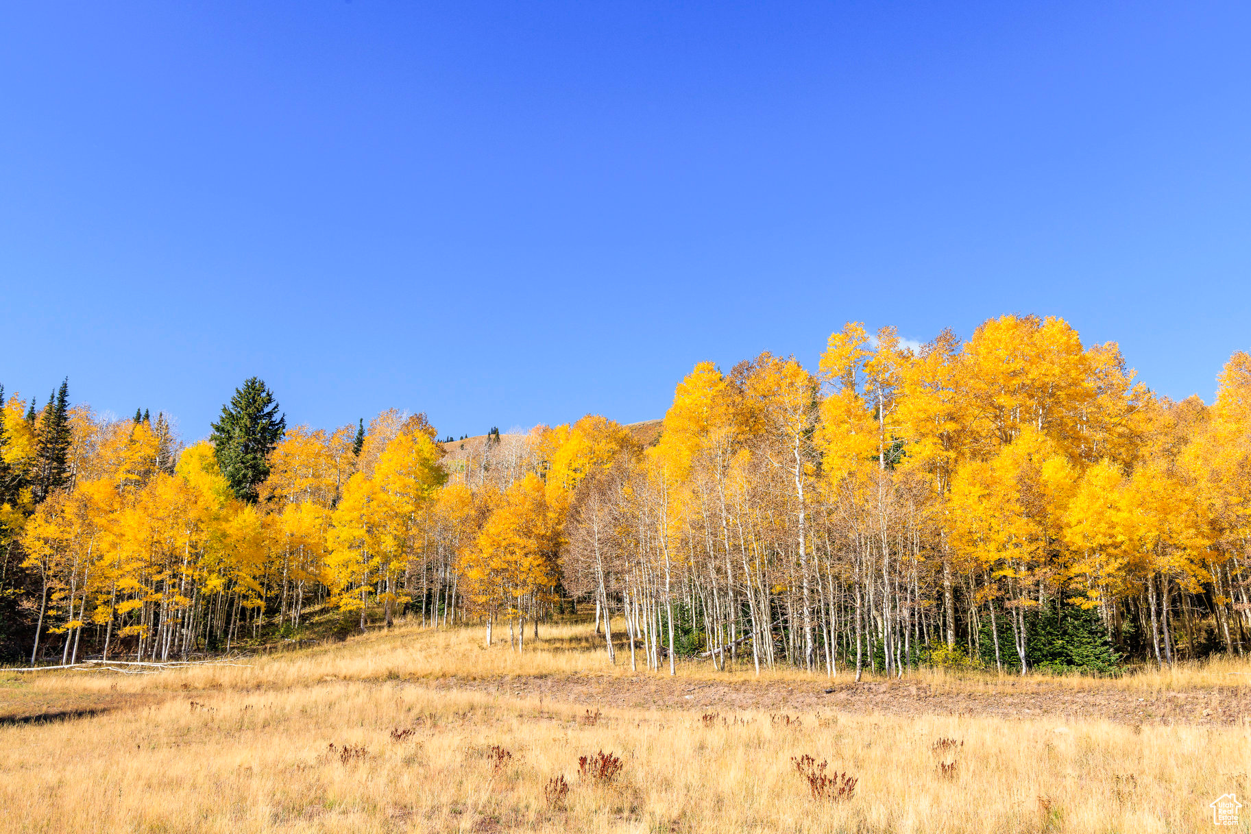 COLONY AT WHITE PINE CANYON - Land