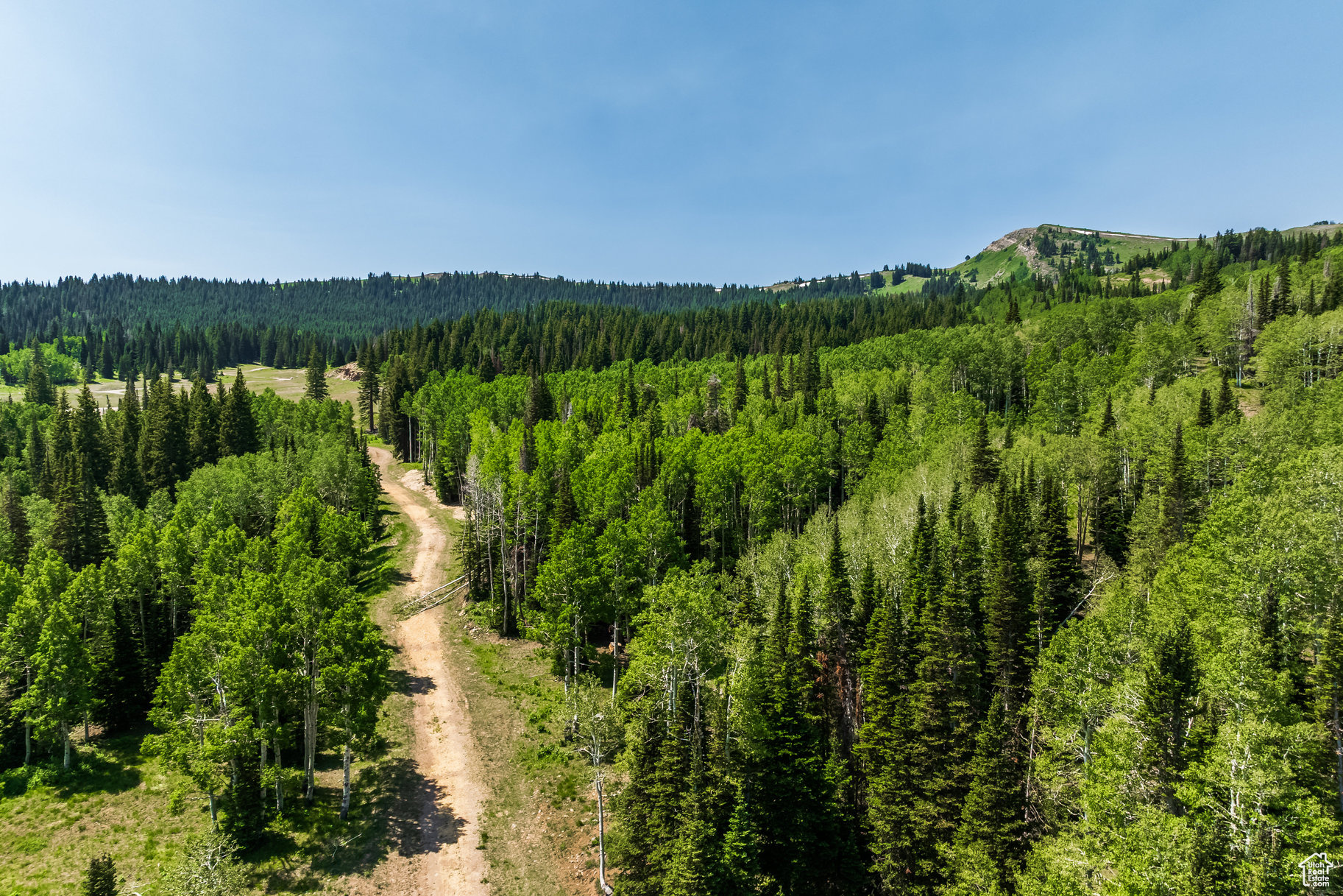 COLONY AT WHITE PINE CANYON - Land