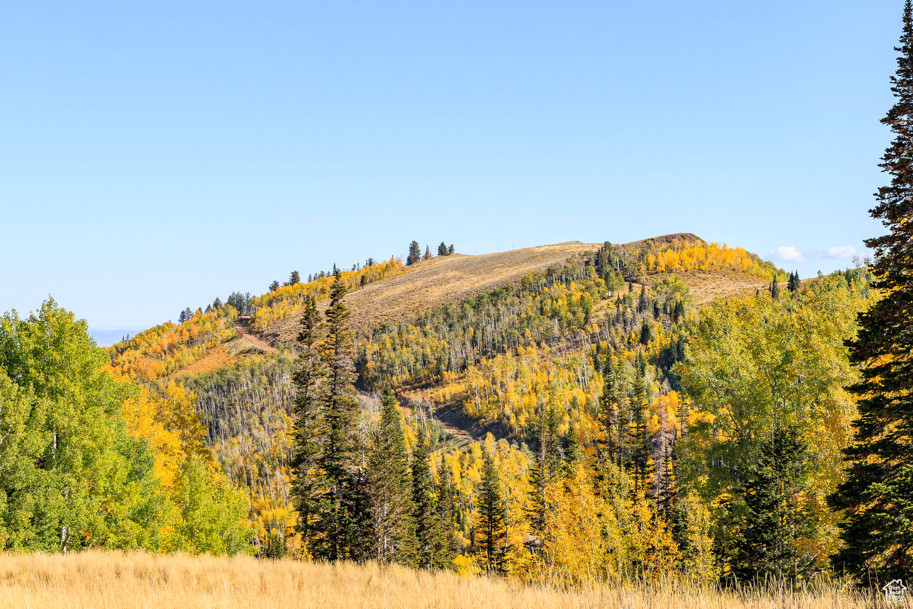 COLONY AT WHITE PINE CANYON - Land