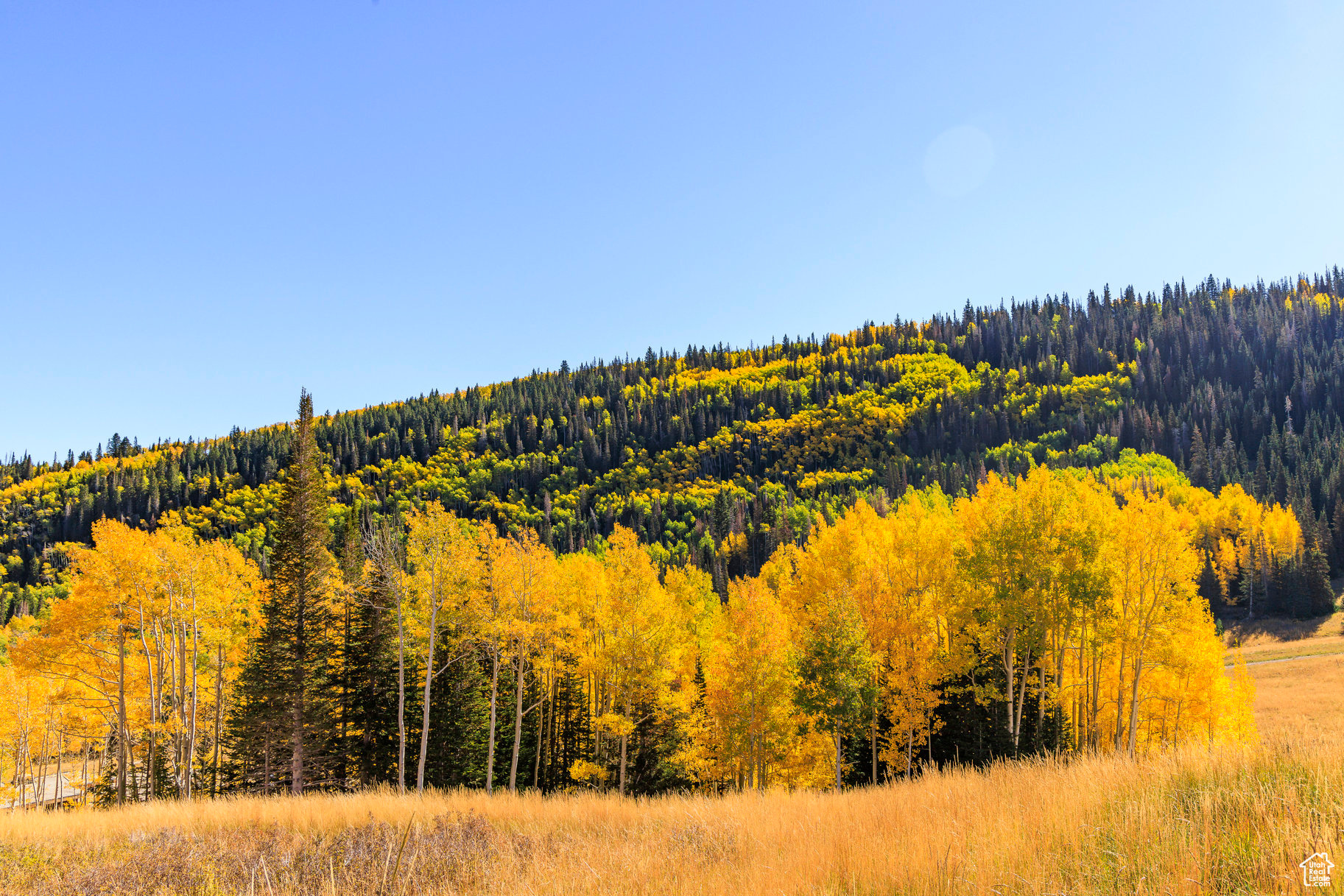 COLONY AT WHITE PINE CANYON - Land
