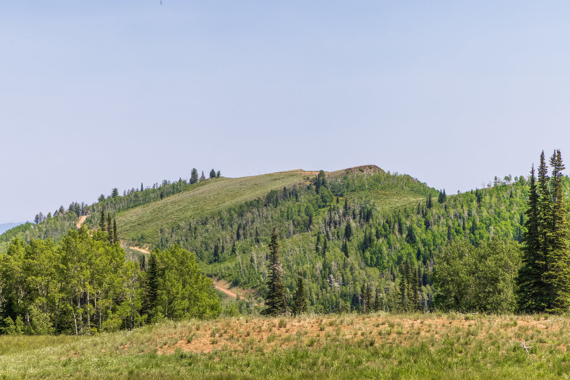 COLONY AT WHITE PINE CANYON - Land