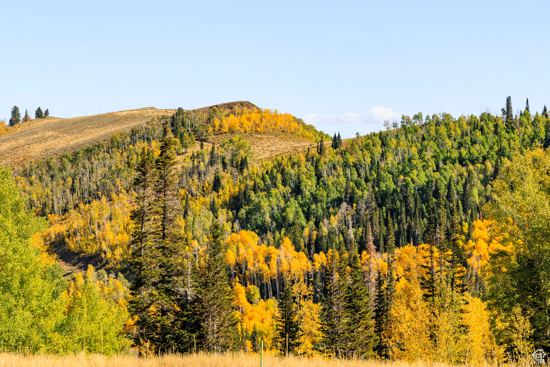 COLONY AT WHITE PINE CANYON - Land