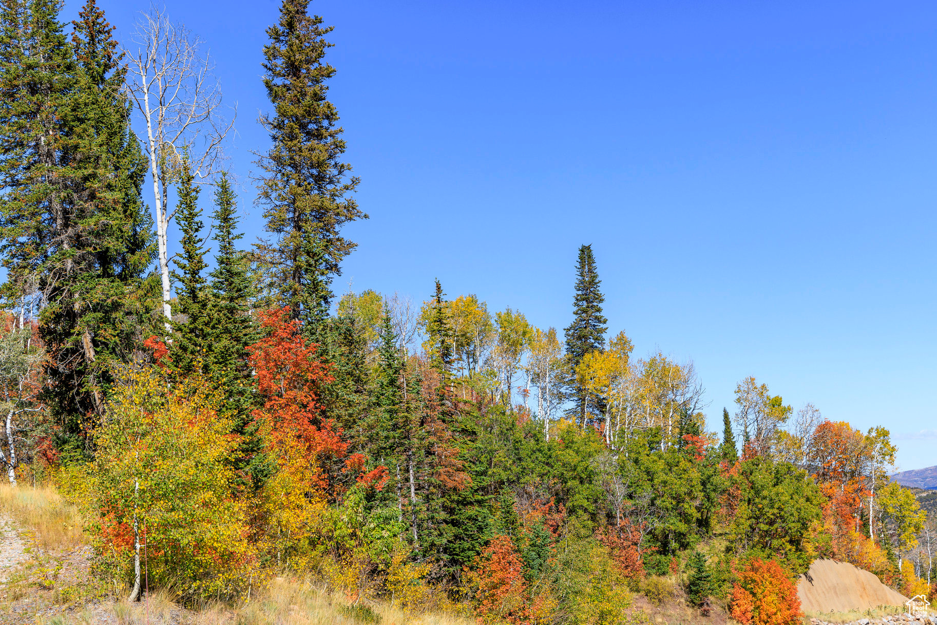 COLONY AT WHITE PINE CANYON - Land