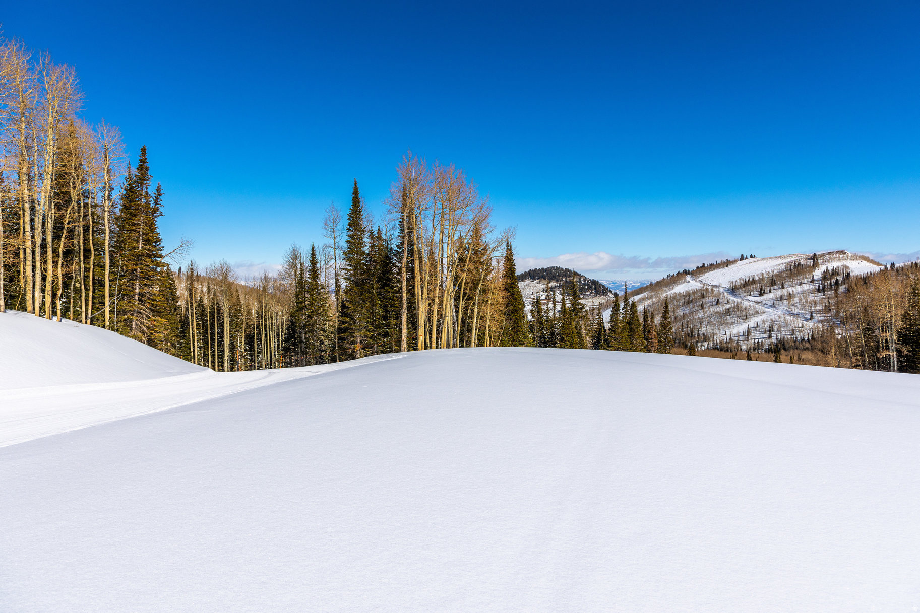 COLONY AT WHITE PINE CANYON - Land