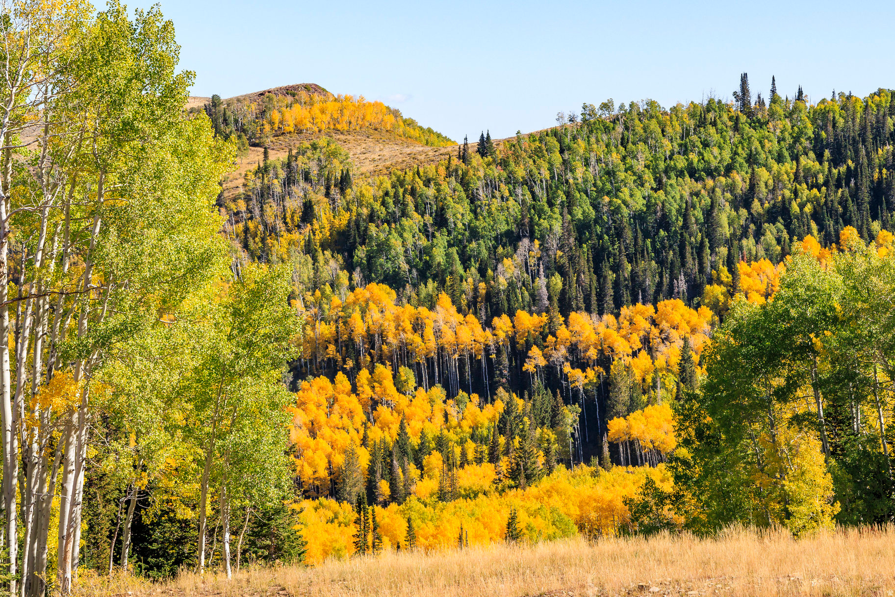 COLONY AT WHITE PINE CANYON - Land
