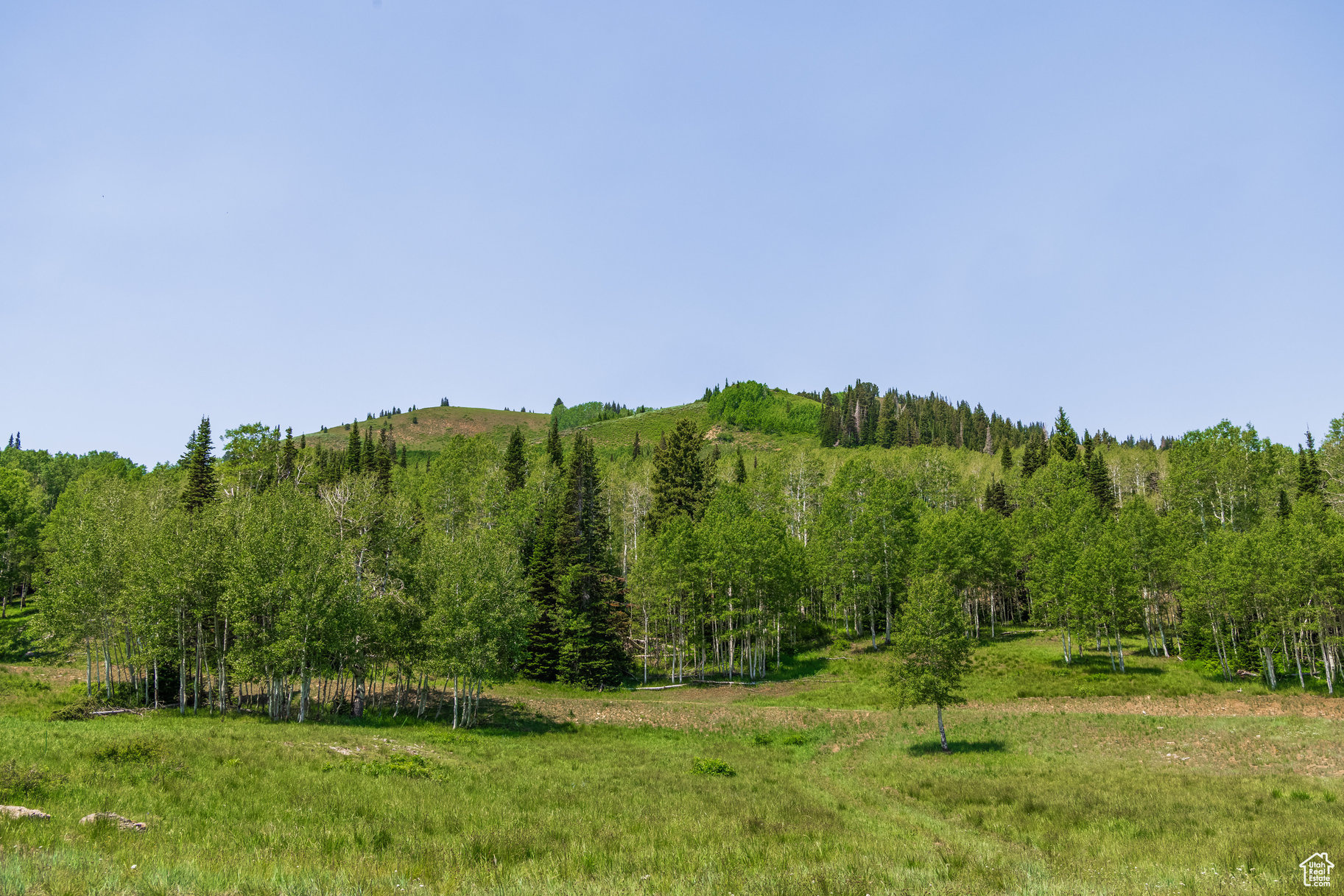 COLONY AT WHITE PINE CANYON - Land