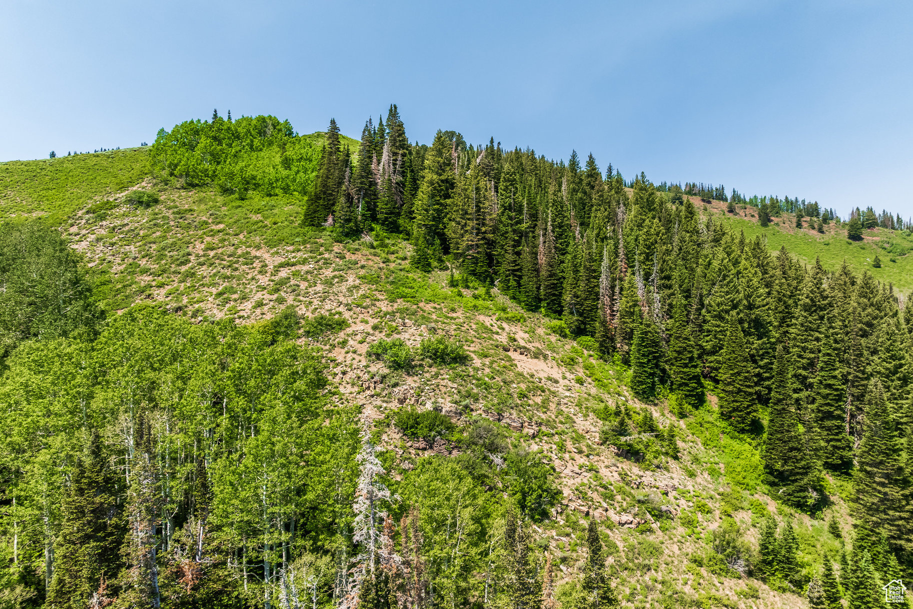 COLONY AT WHITE PINE CANYON - Land
