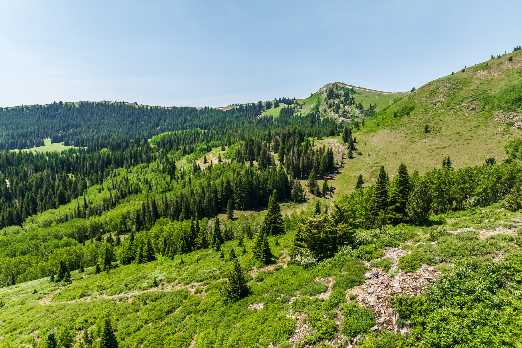 COLONY AT WHITE PINE CANYON - Land