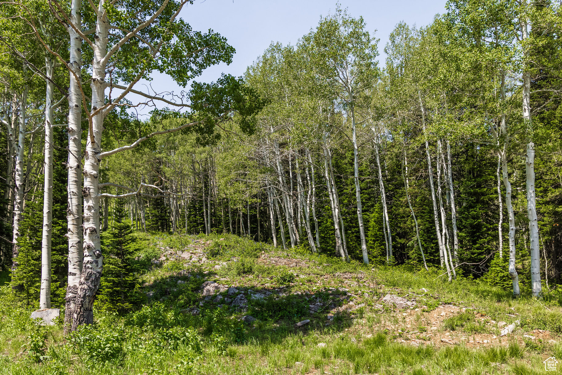 COLONY AT WHITE PINE CANYON - Land