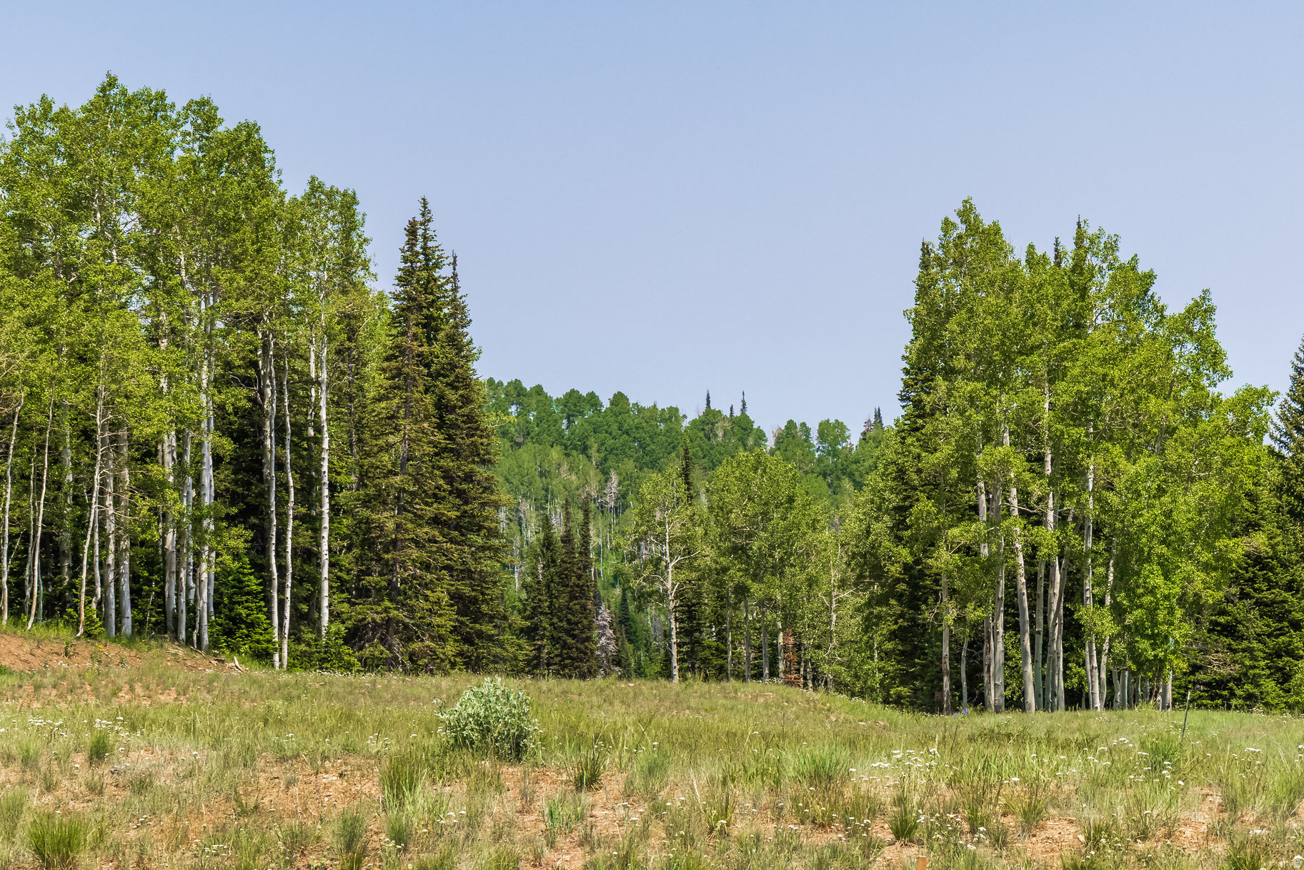 COLONY AT WHITE PINE CANYON - Land