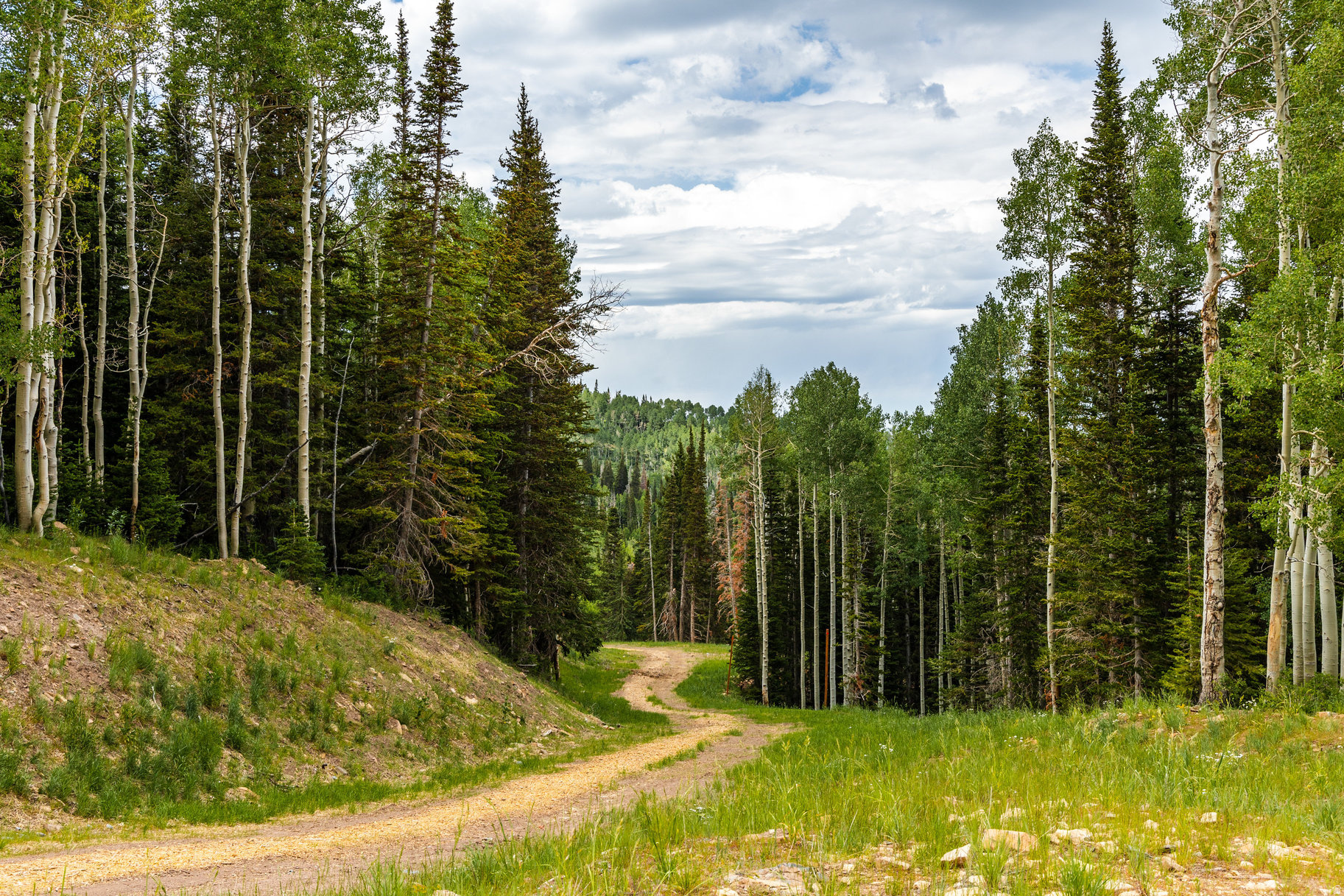 COLONY AT WHITE PINE CANYON - Land