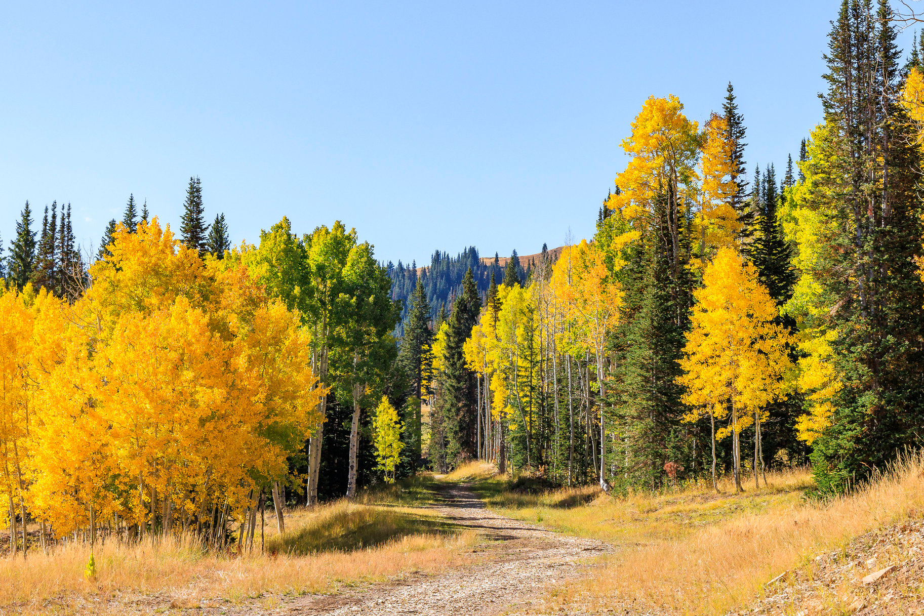 COLONY AT WHITE PINE CANYON - Land
