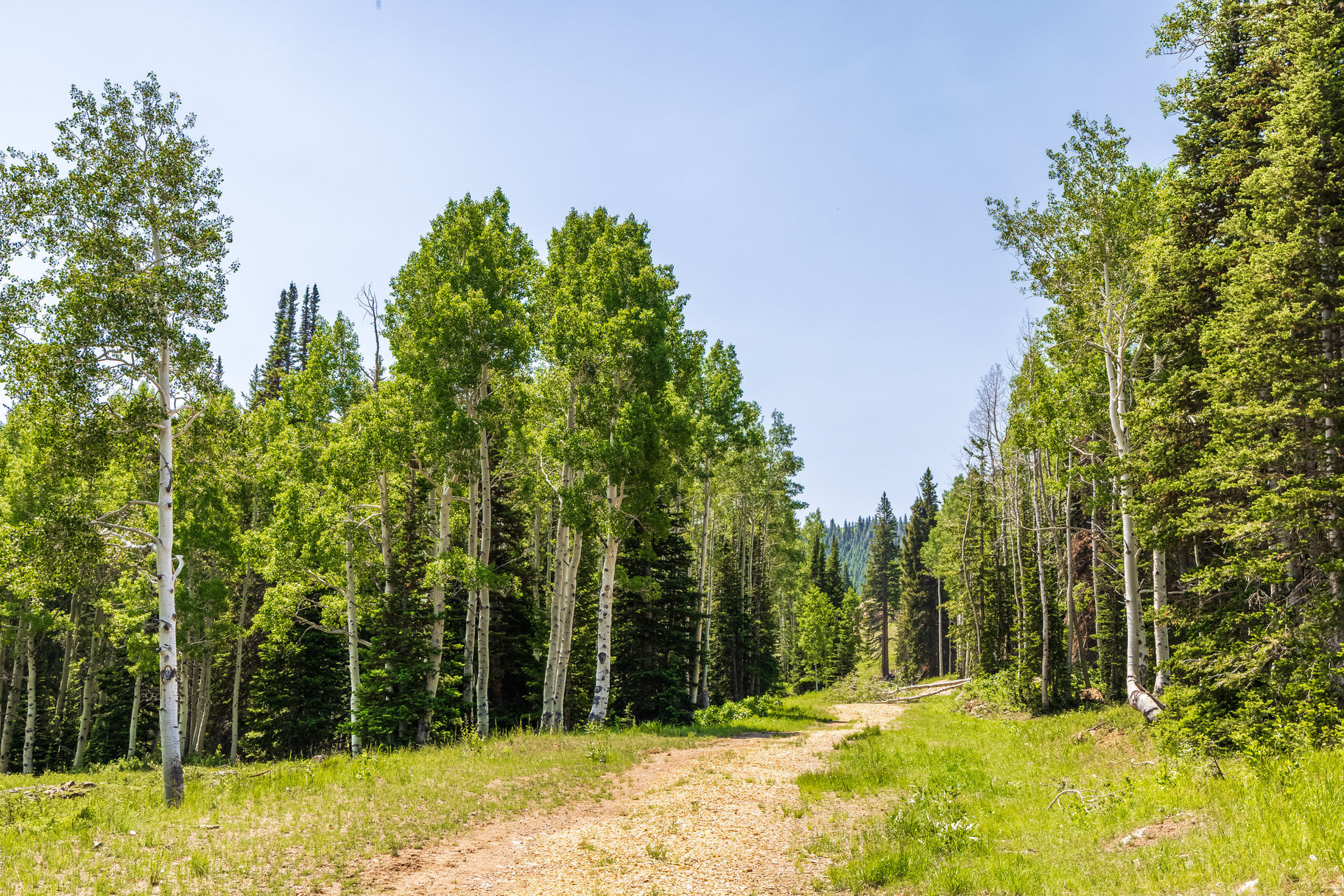 COLONY AT WHITE PINE CANYON - Land