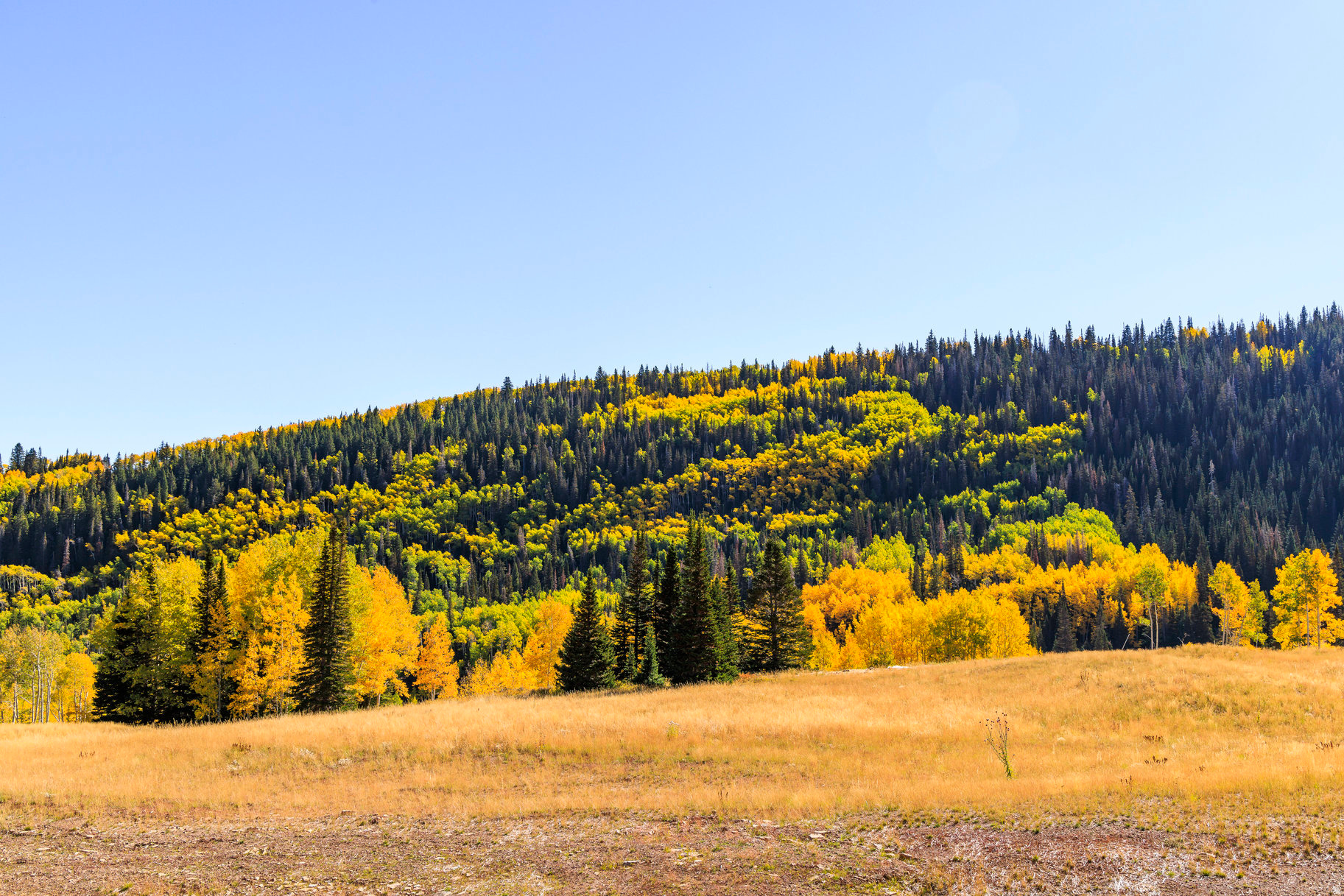 COLONY AT WHITE PINE CANYON - Land