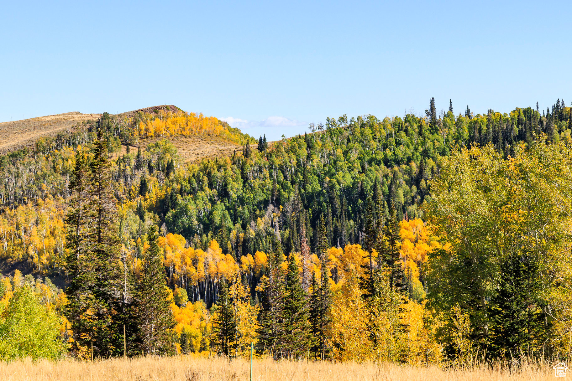 COLONY AT WHITE PINE CANYON - Land