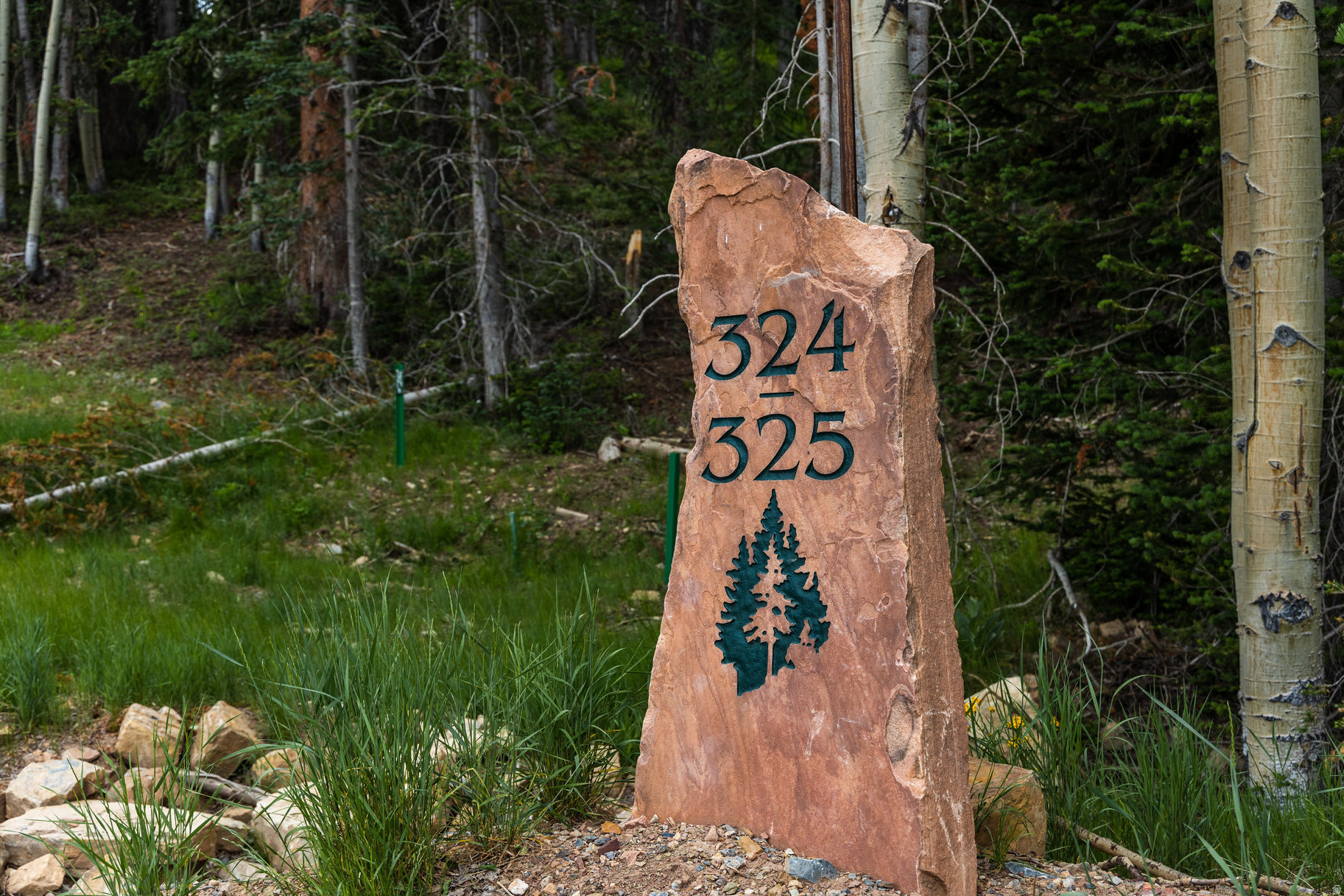 COLONY AT WHITE PINE CANYON - Land