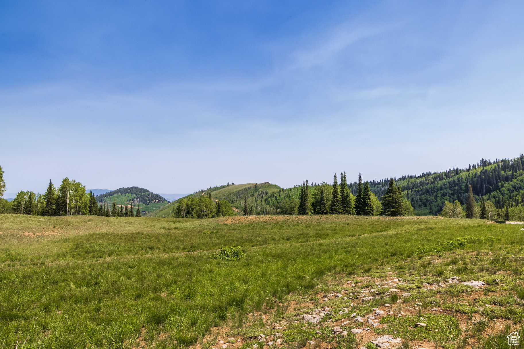 COLONY AT WHITE PINE CANYON - Land