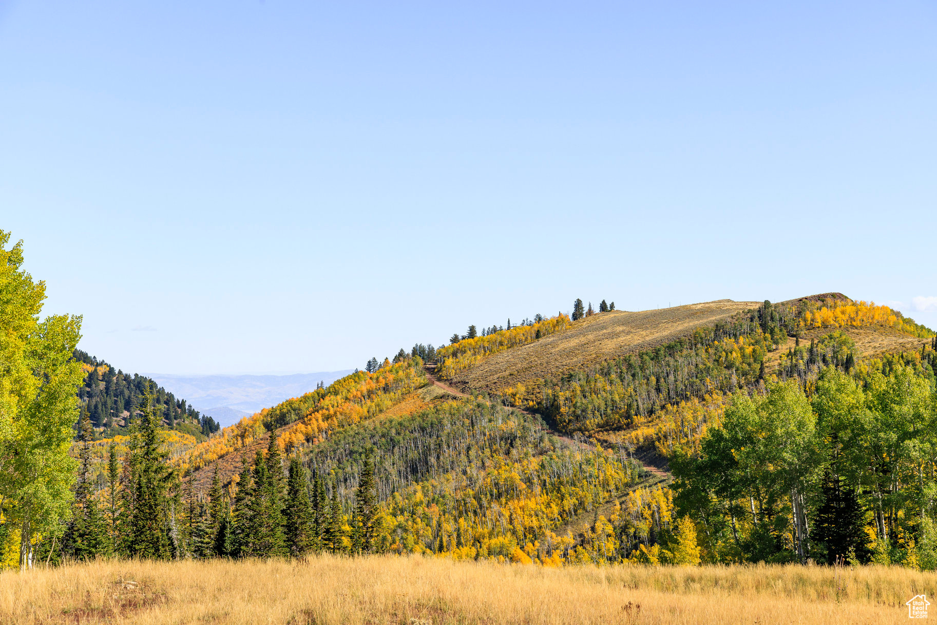 COLONY AT WHITE PINE CANYON - Land