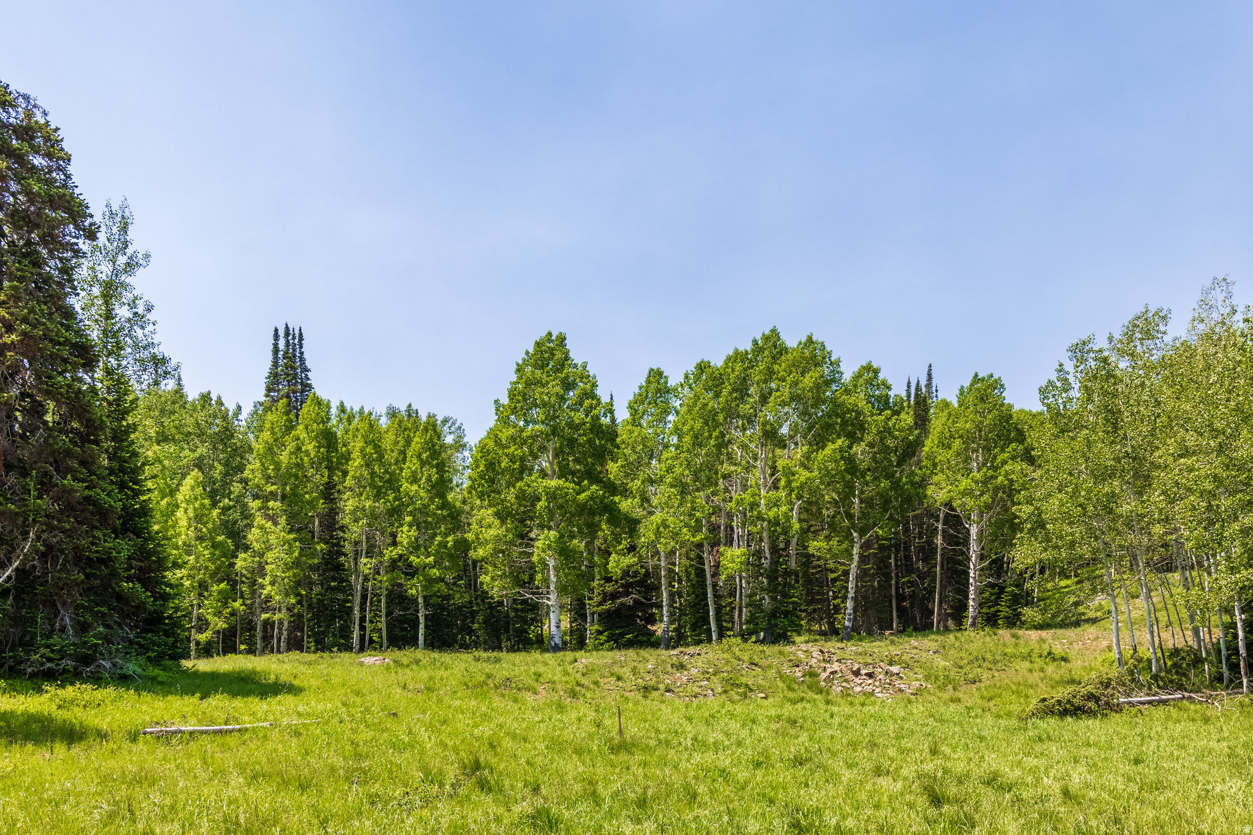 COLONY AT WHITE PINE CANYON - Land