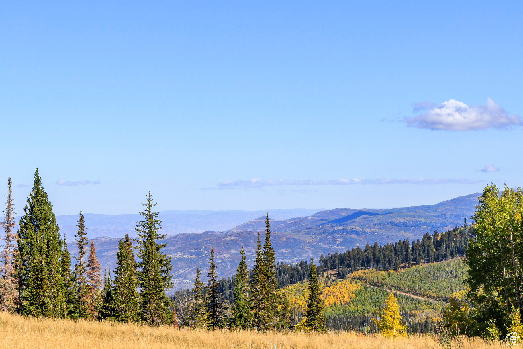 COLONY AT WHITE PINE CANYON - Land