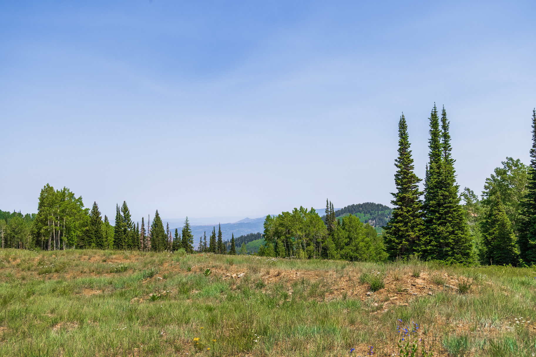 COLONY AT WHITE PINE CANYON - Land