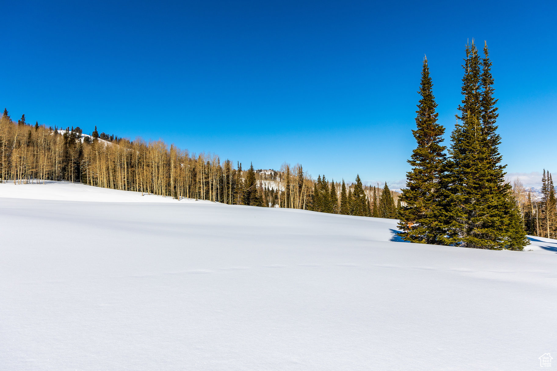 COLONY AT WHITE PINE CANYON - Land
