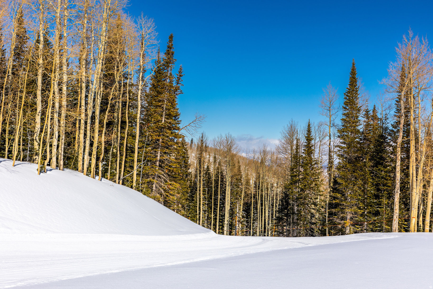 COLONY AT WHITE PINE CANYON - Land