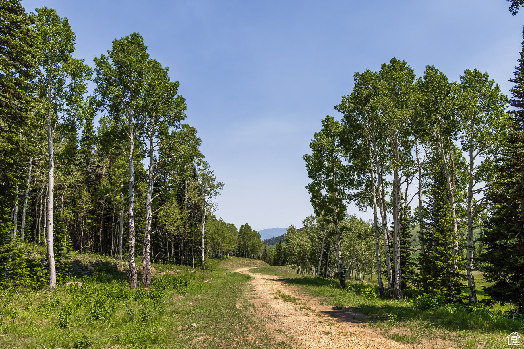 COLONY AT WHITE PINE CANYON - Land