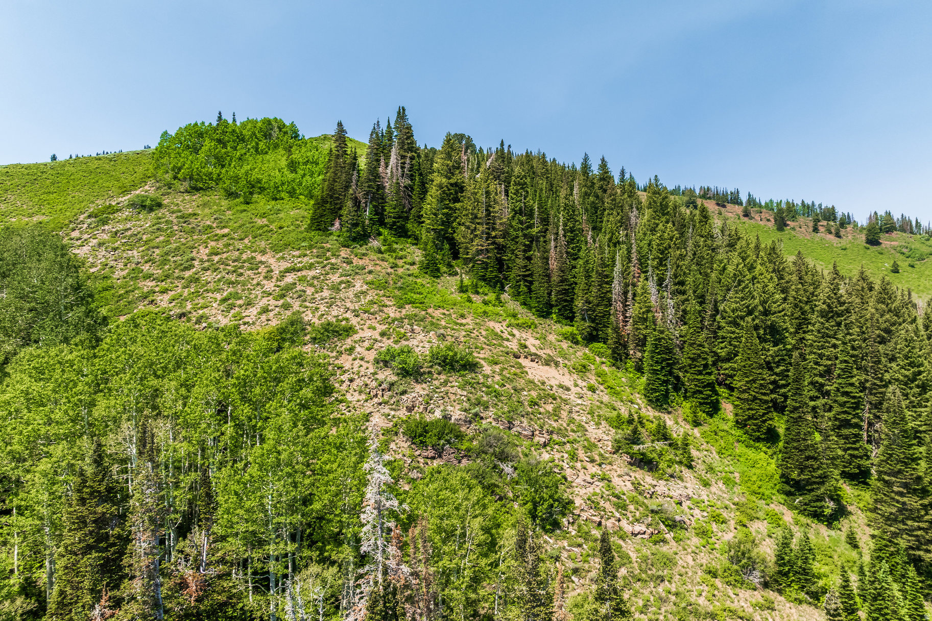 COLONY AT WHITE PINE CANYON - Land