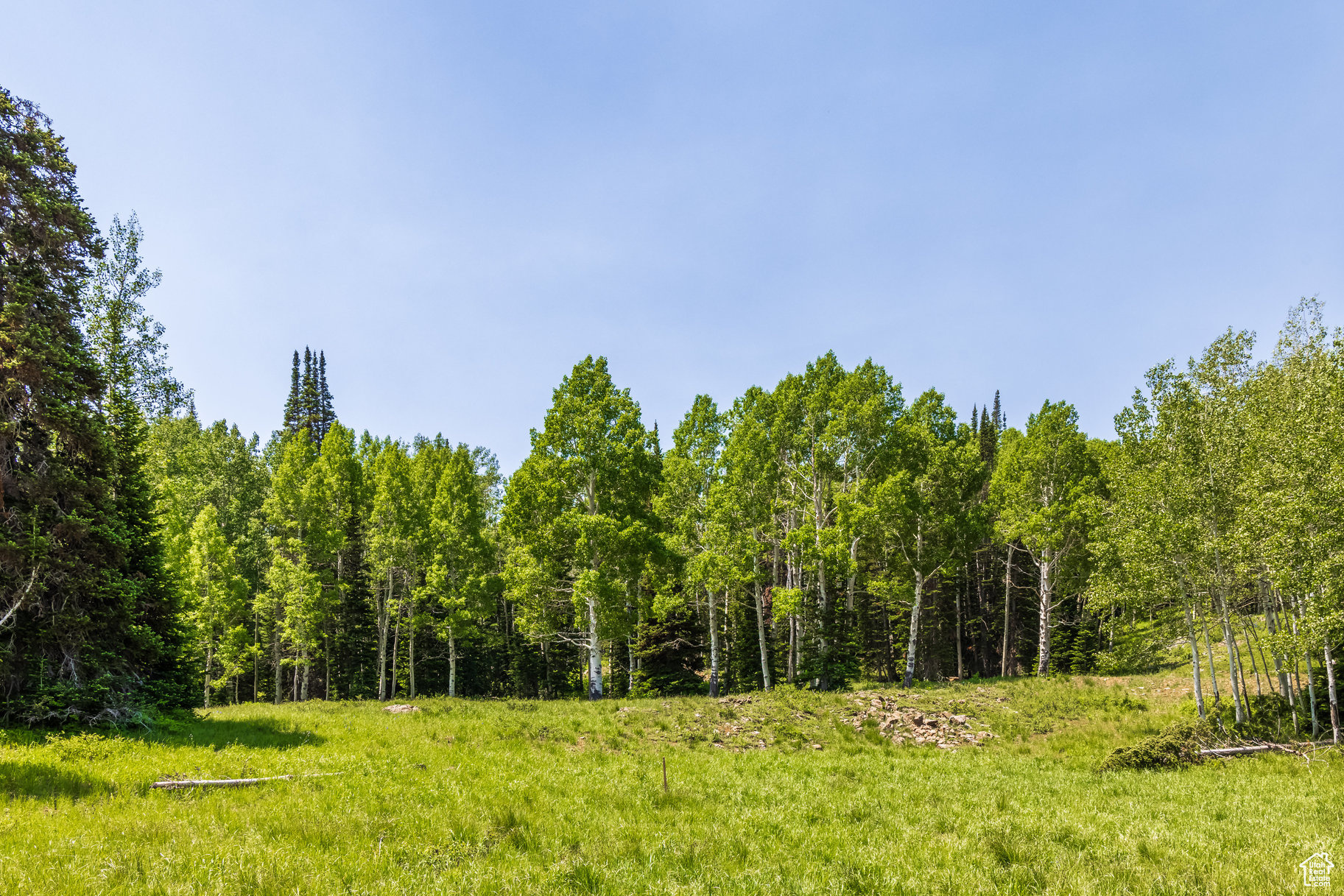 COLONY AT WHITE PINE CANYON - Land