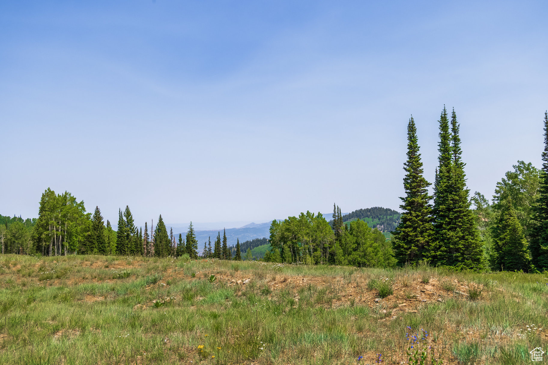 COLONY AT WHITE PINE CANYON - Land