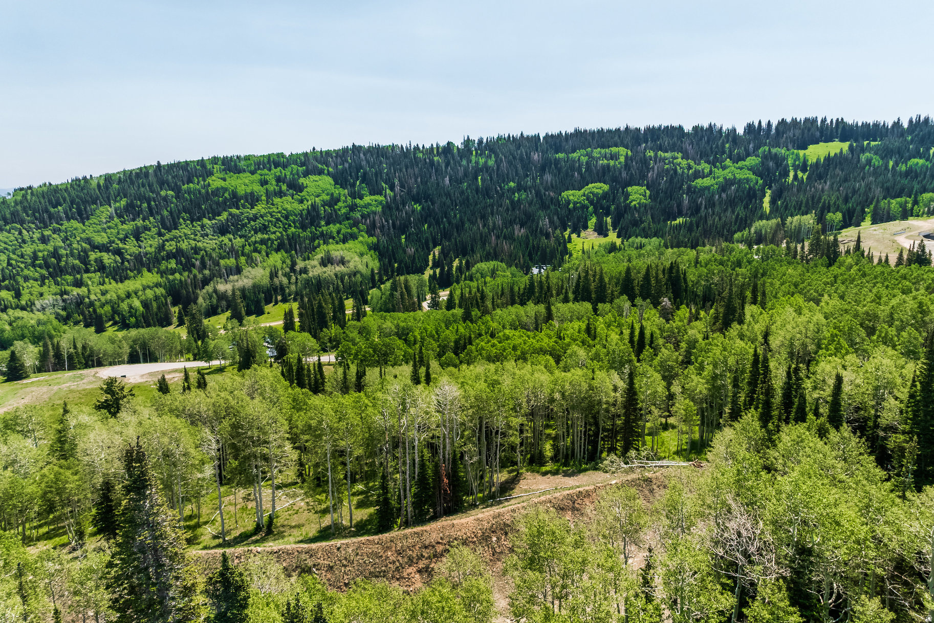 COLONY AT WHITE PINE CANYON - Land