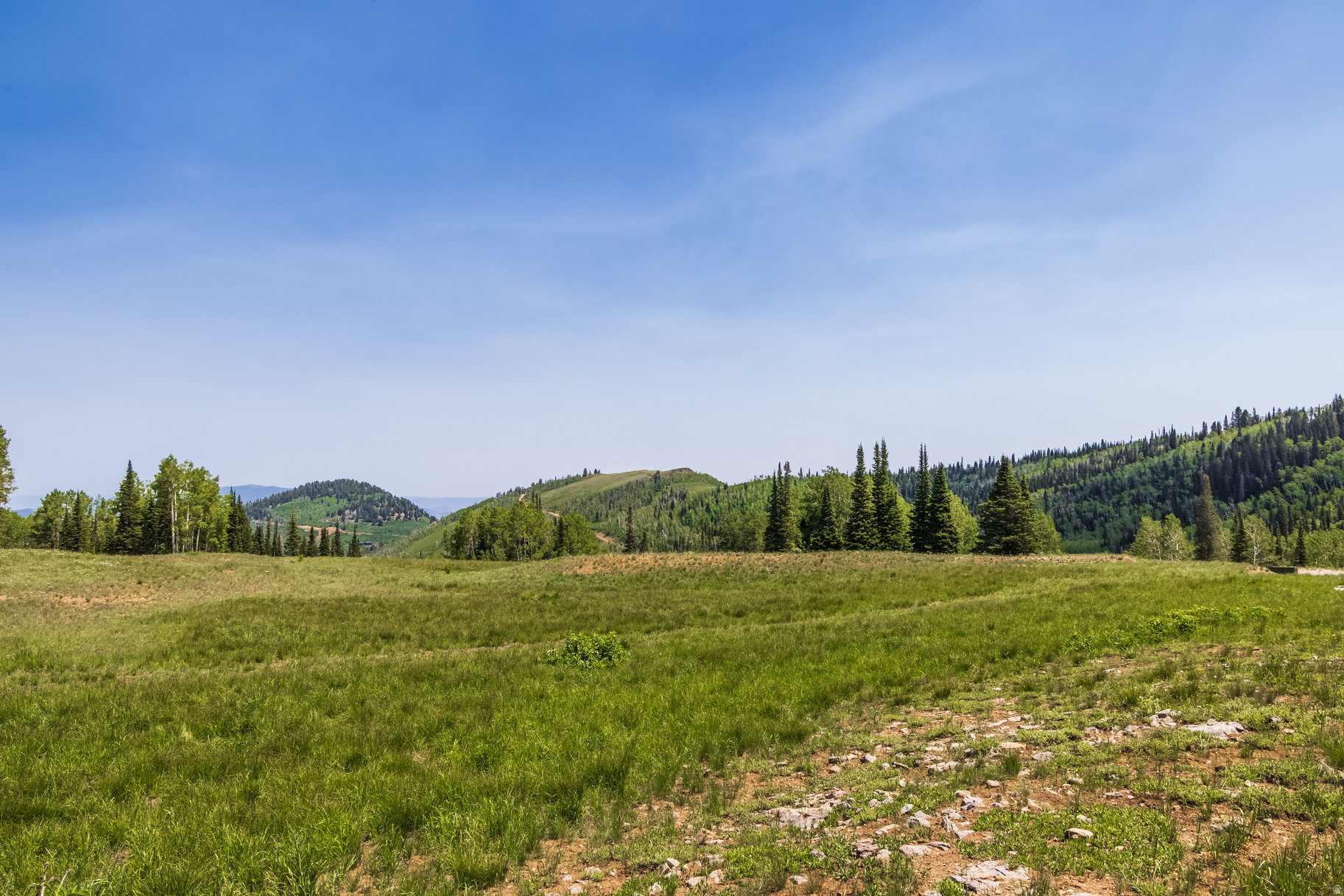 COLONY AT WHITE PINE CANYON - Land