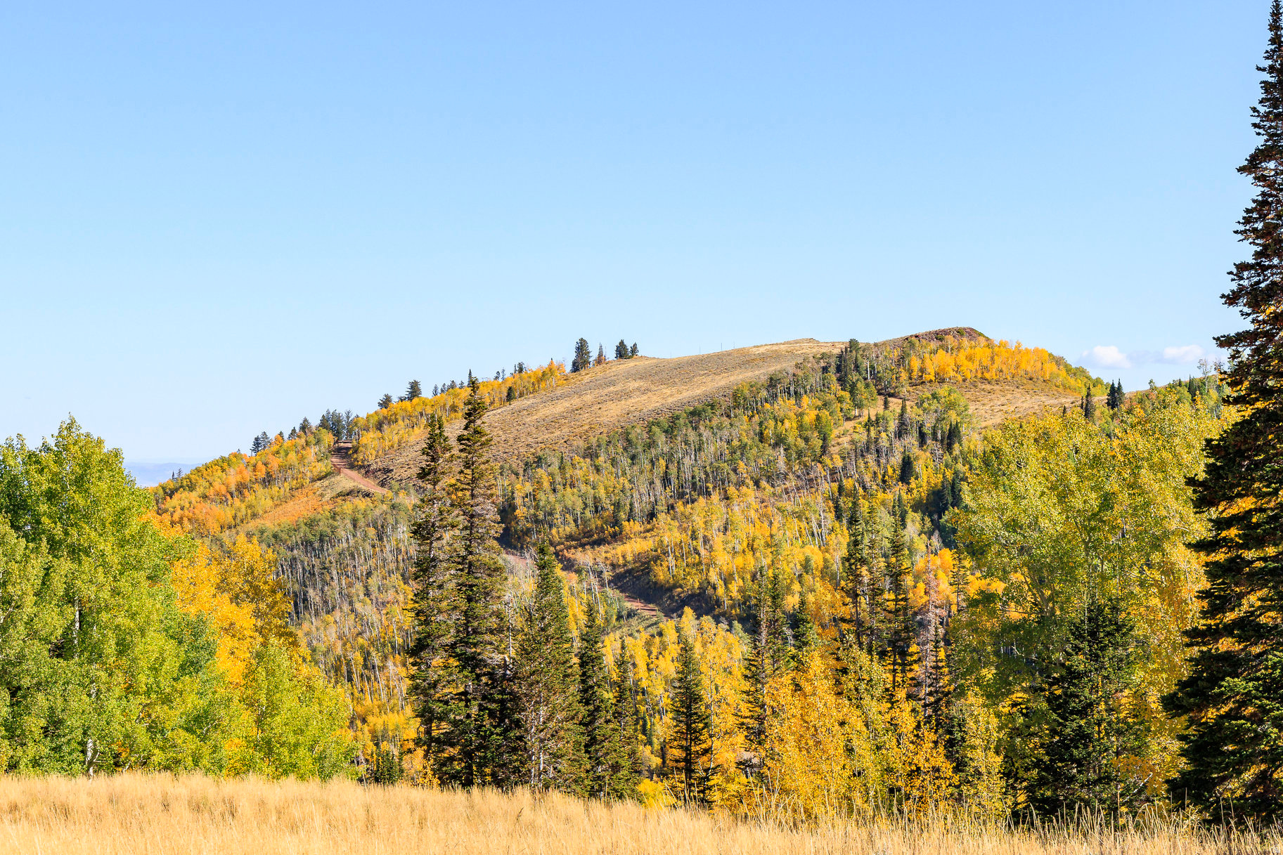 COLONY AT WHITE PINE CANYON - Land