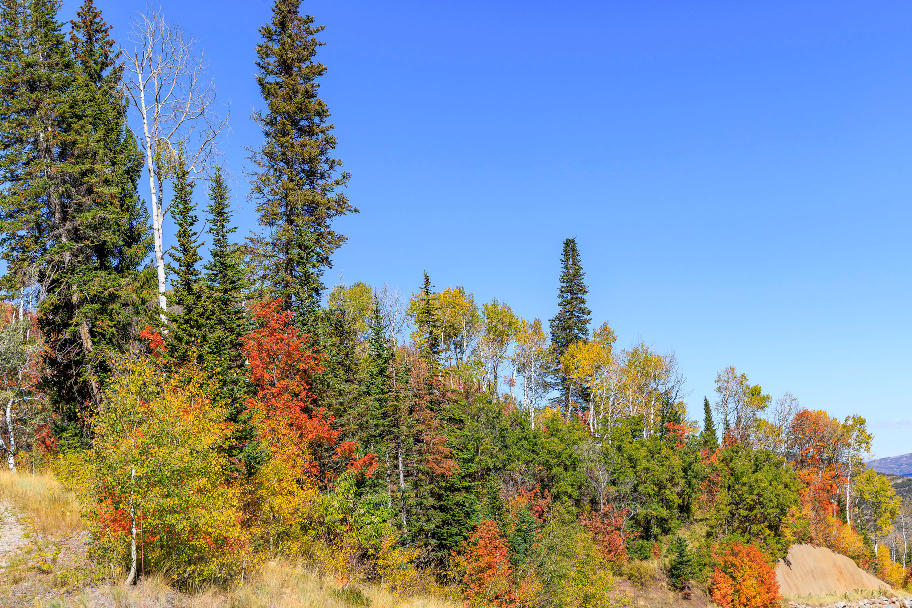 COLONY AT WHITE PINE CANYON - Land
