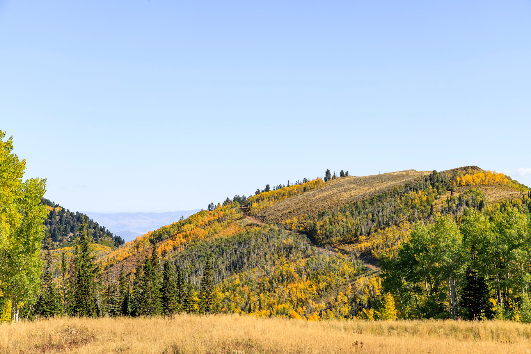 COLONY AT WHITE PINE CANYON - Land