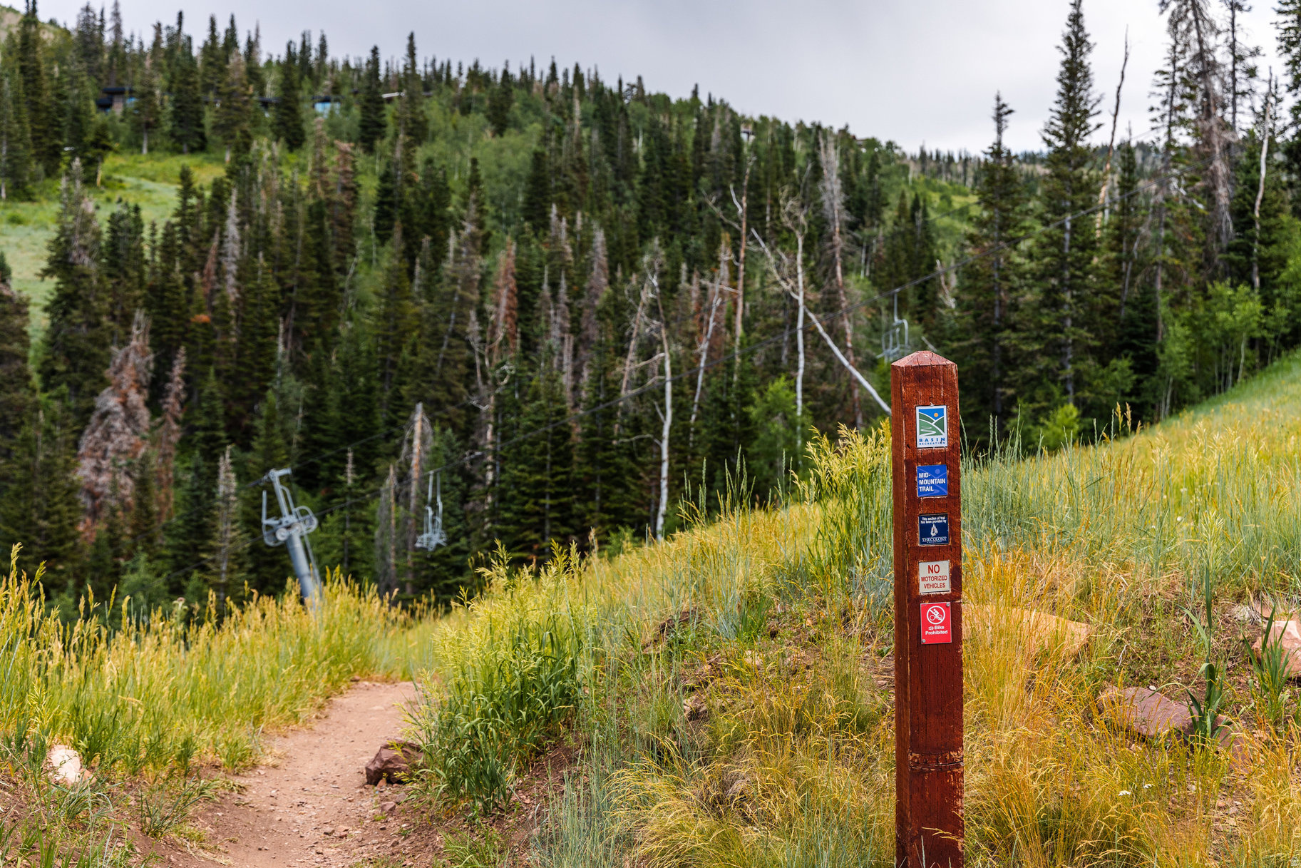 COLONY AT WHITE PINE CANYON - Land