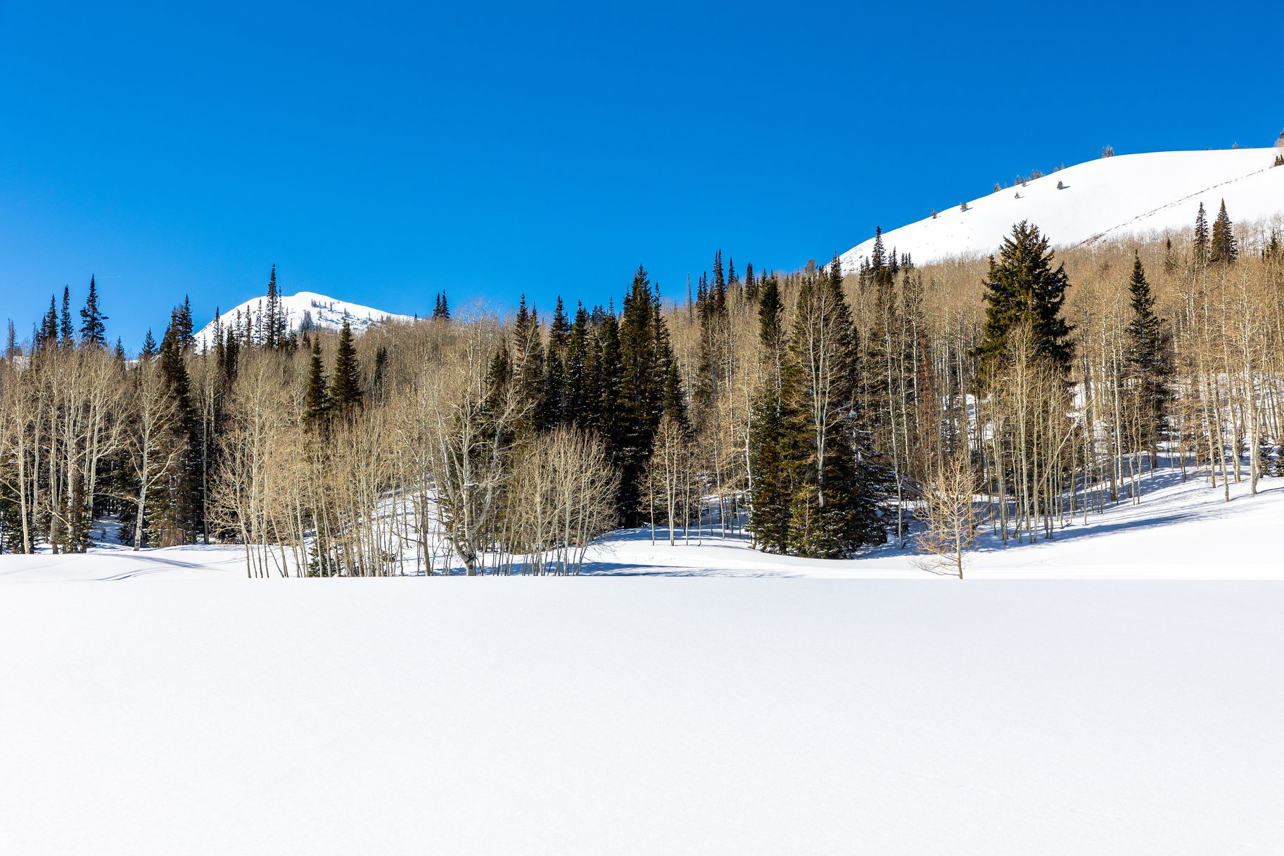 COLONY AT WHITE PINE CANYON - Land