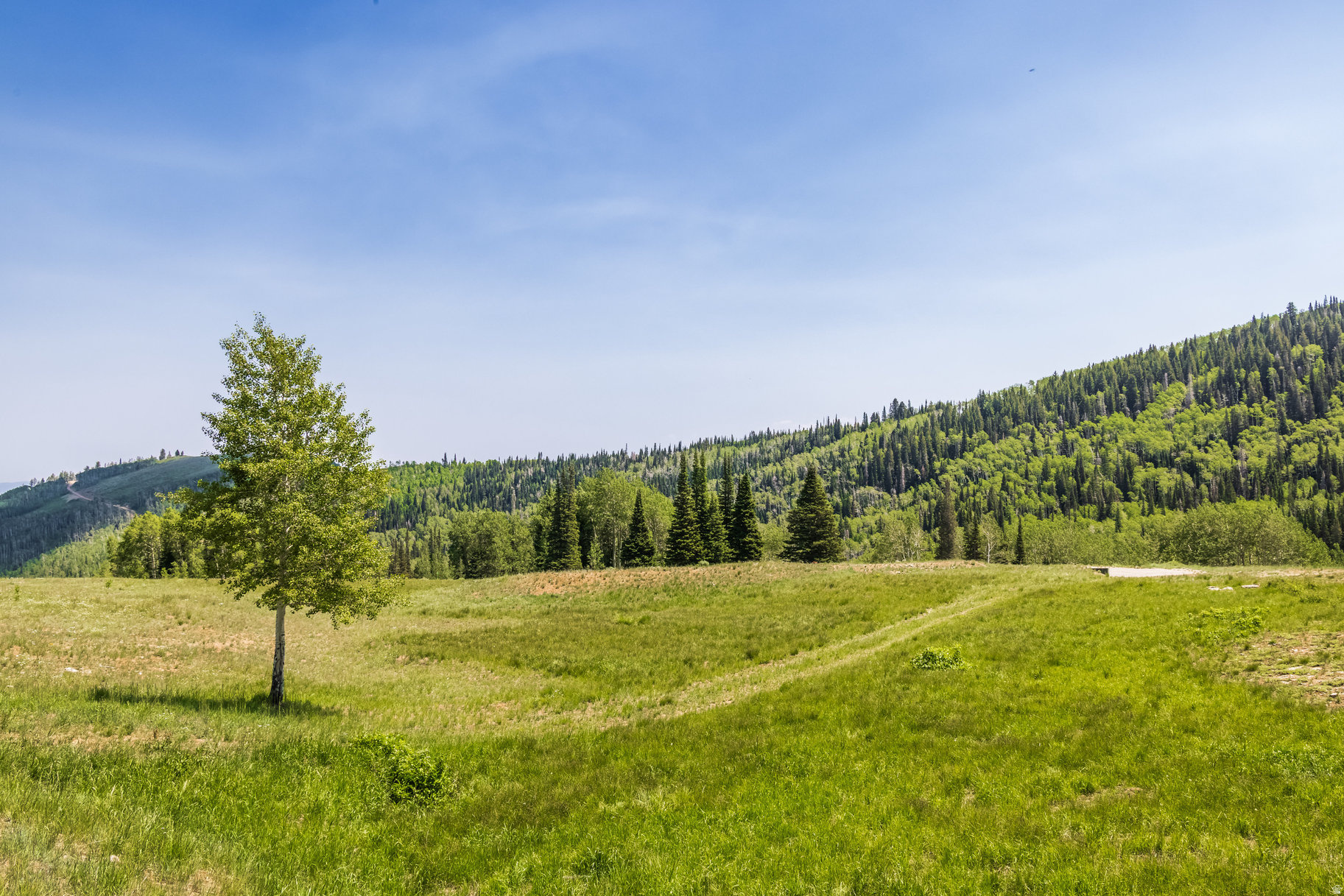 COLONY AT WHITE PINE CANYON - Land